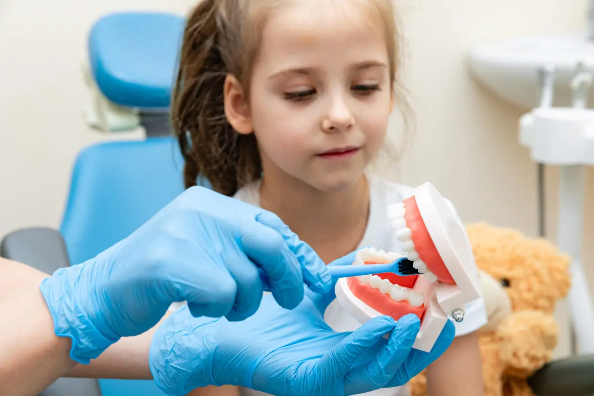 Female dentist teaches a little girl how to brush her teeth properly with jaw model and toothbrush. The concept of oral care. concept of dentistry. children's dentist. plasma structure of the jaw